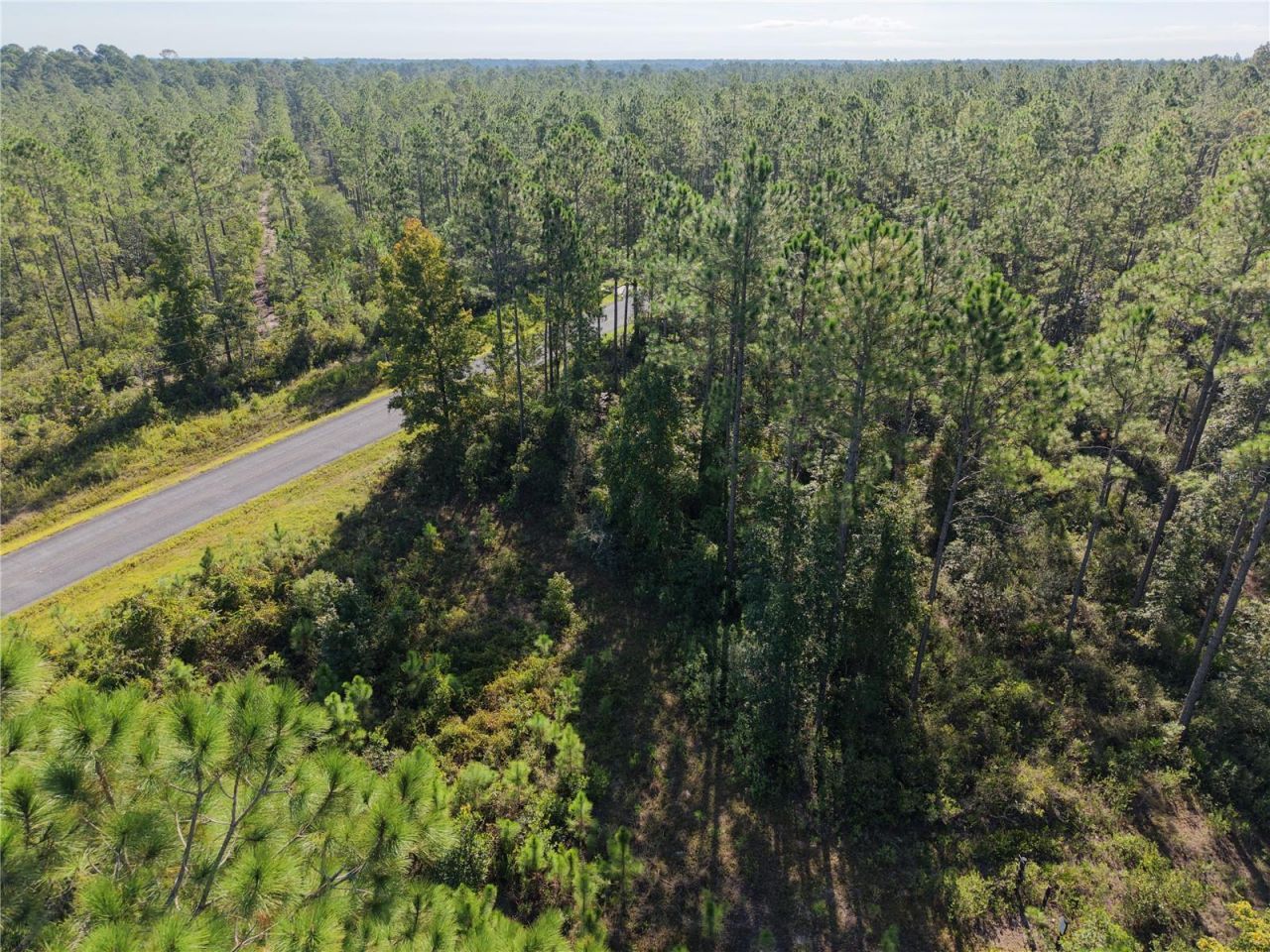 Off NE 212th St. , Fort Mc Coy, FL 32134 Photo