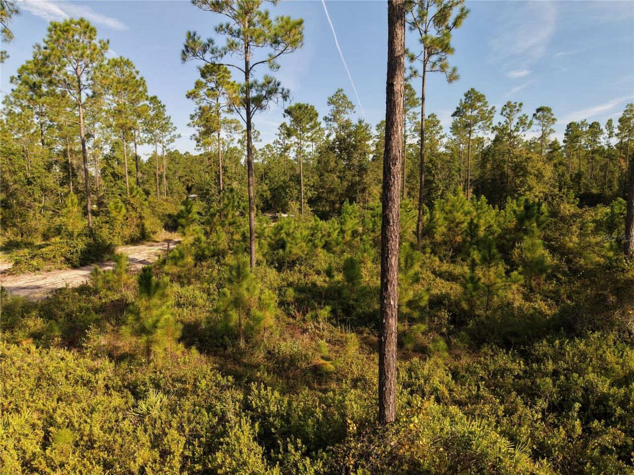 Off NE 212th St. , Fort Mc Coy, FL 32134 Photo