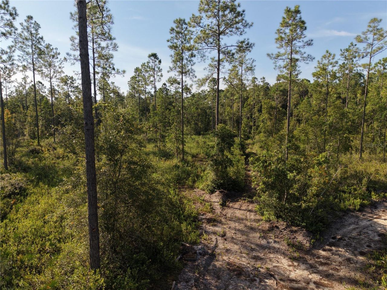 Off NE 212th St. , Fort Mc Coy, FL 32134 Photo