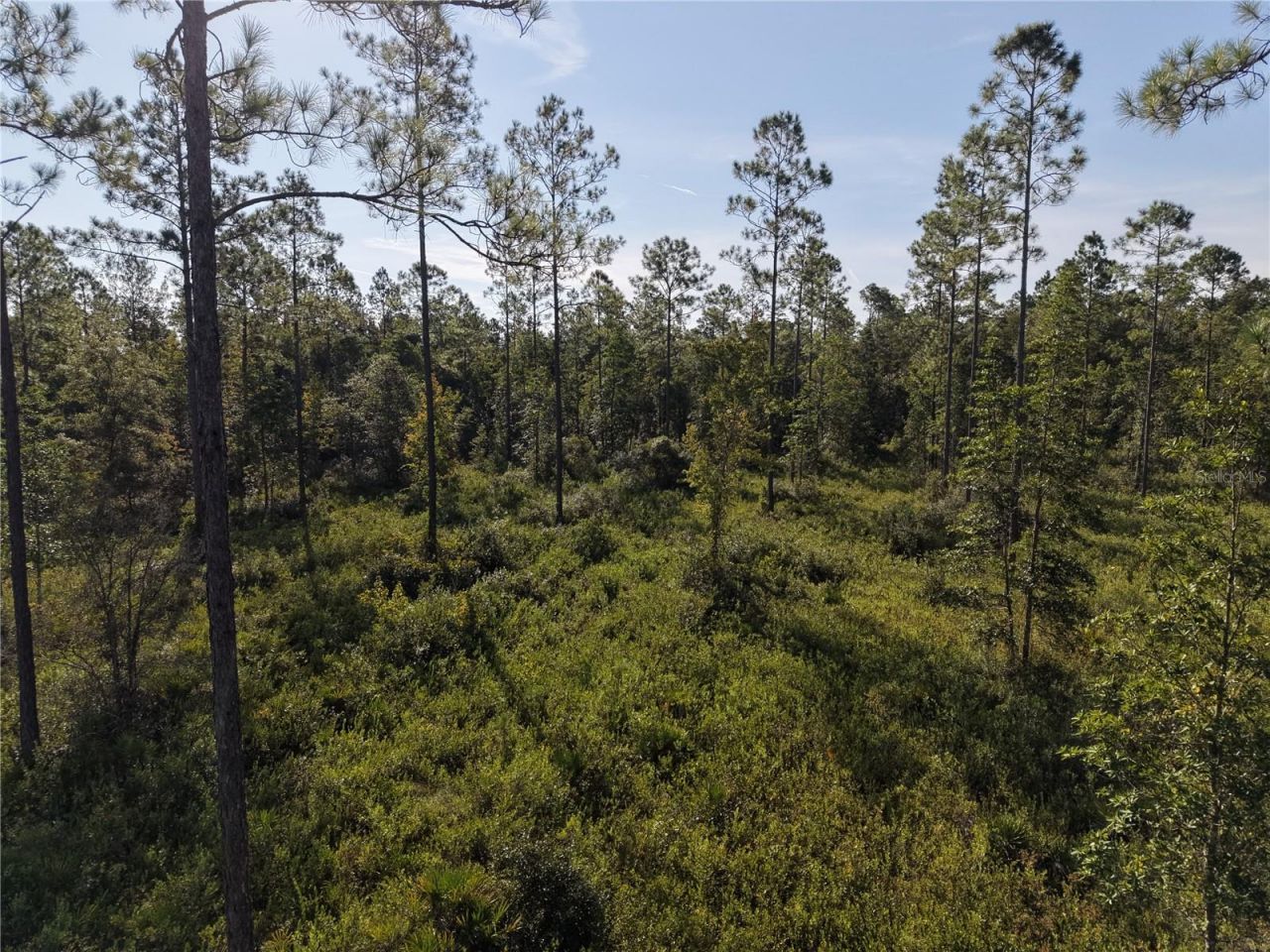 Off NE 212th St. , Fort Mc Coy, FL 32134 Photo