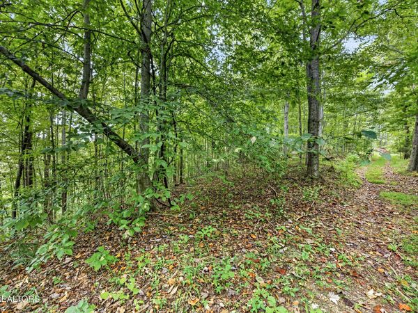 Lot 29 Timber Ridge Lane , Celina, TN 38551