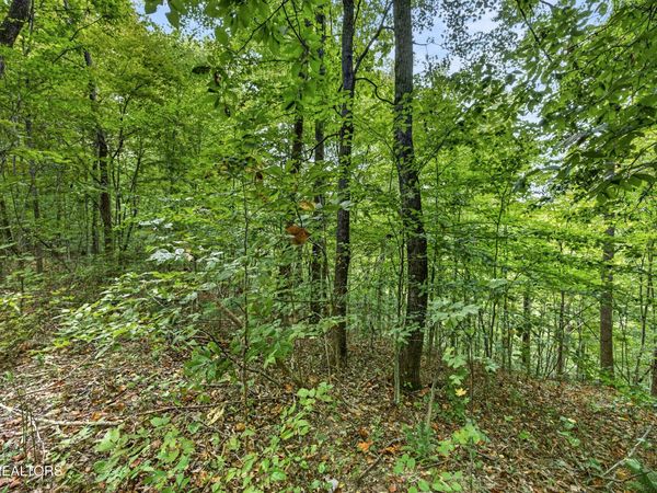 Lot 30 Timber Ridge Lane , Celina, TN 38551