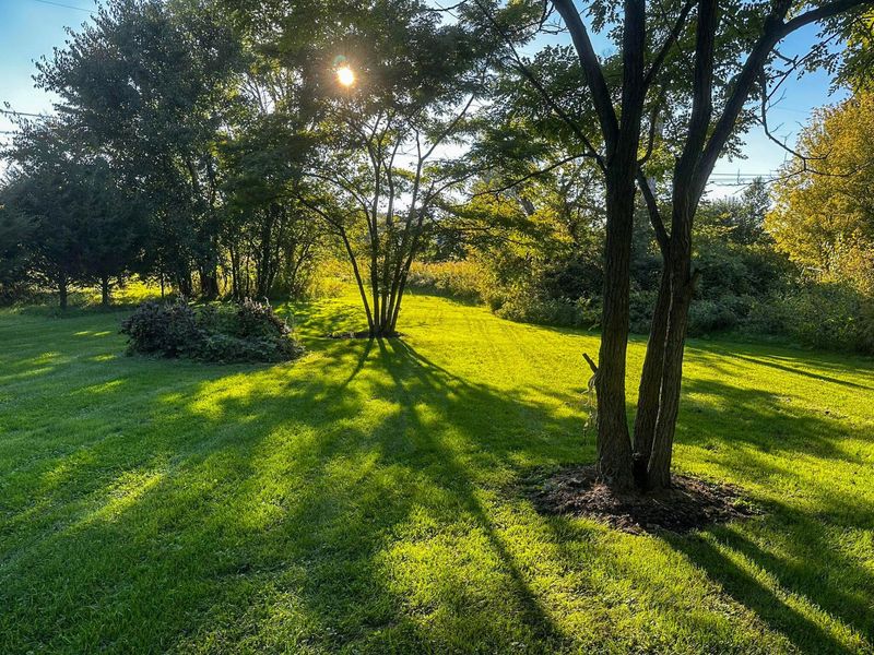 6584 State Route 314, Mount Gilead, OH 43338 Photo 20