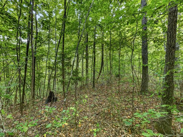 Lot 31 Timber Ridge Lane , Celina, TN 38551