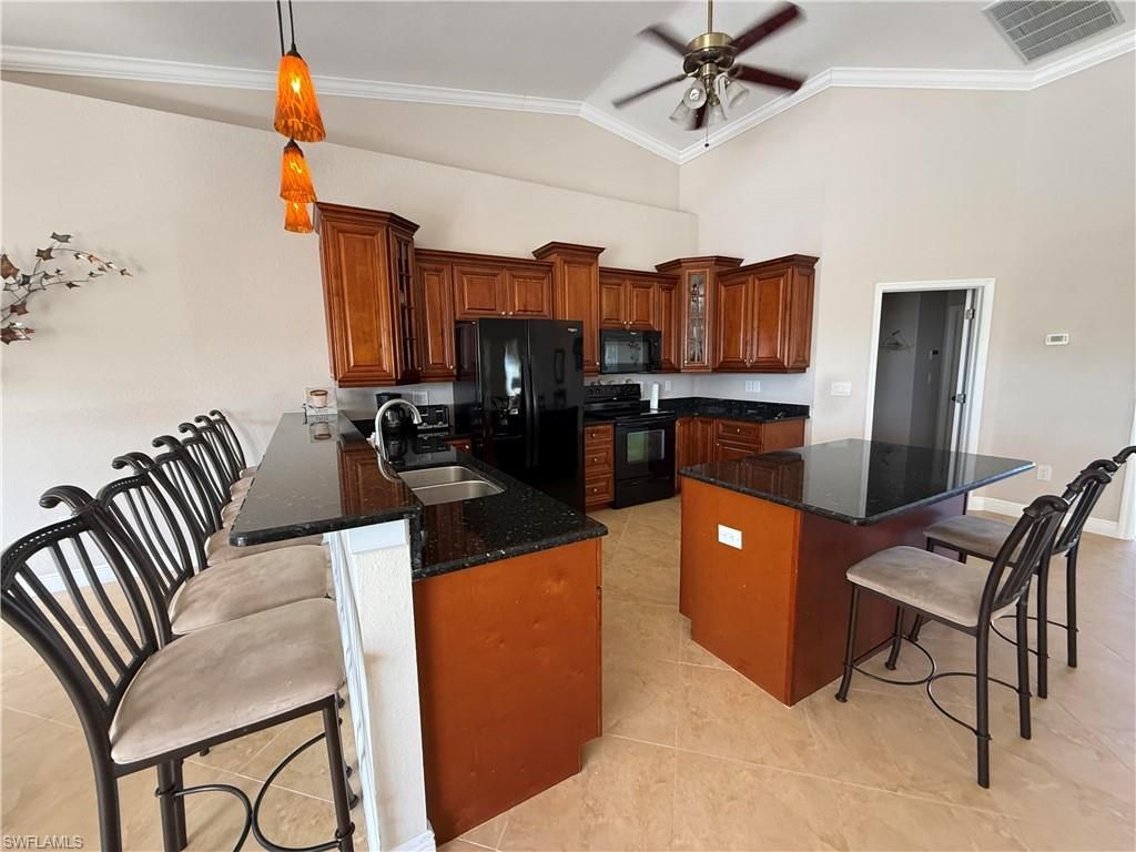3220 NW 14th Ter, Cape Coral, FL 33993 Photo