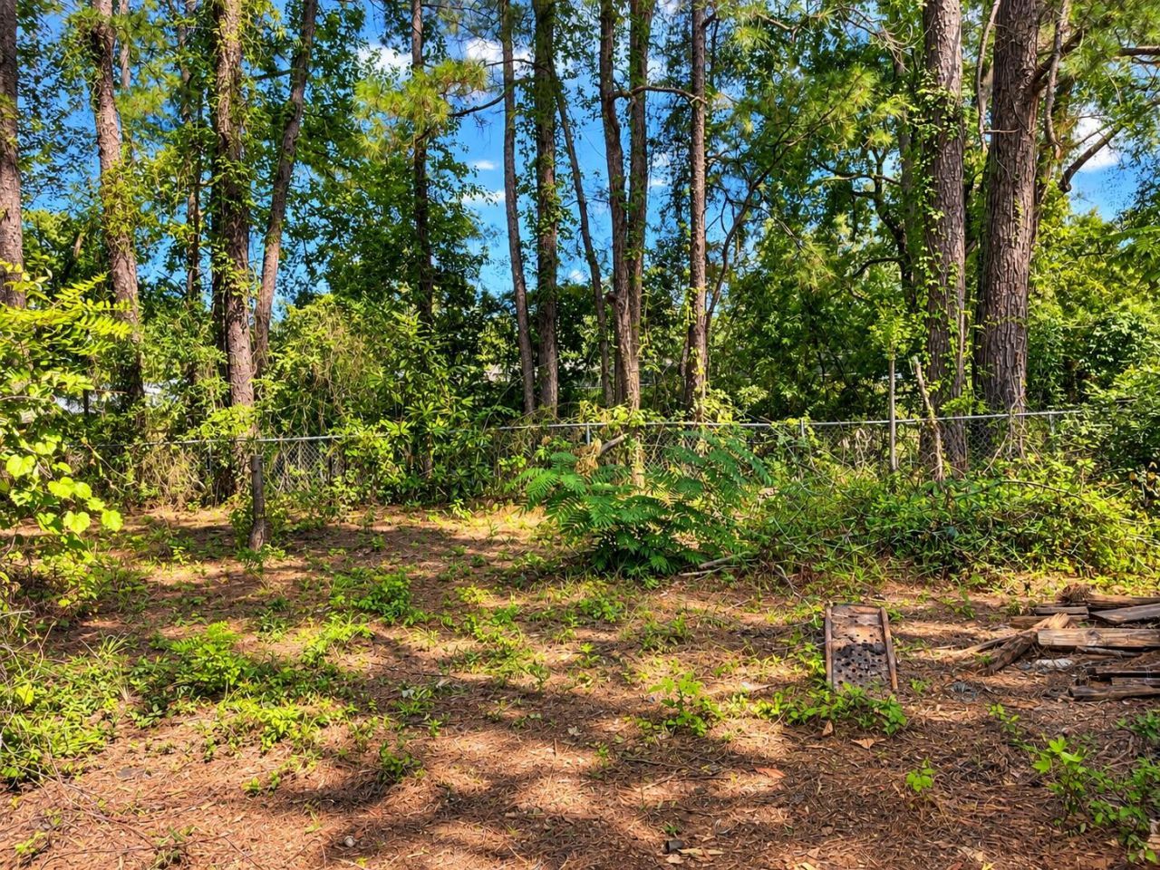 264 Dorchester Manor Boulevard Photo 6