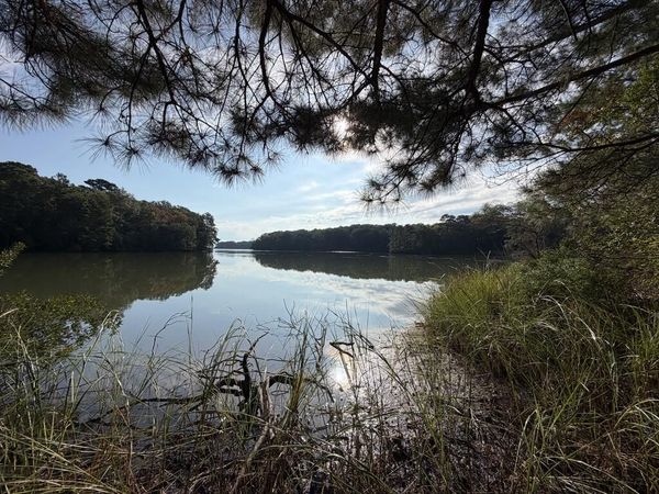 Lot 4 Blackberry Road, REEDVILLE, VA 22539