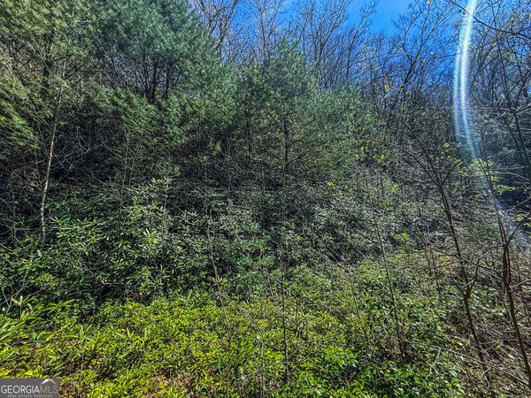 TR 5 Outback Lane, Rabun Gap, GA 30568