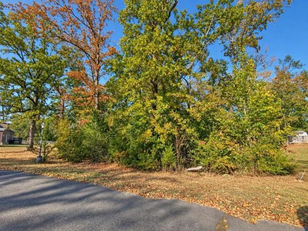 LOT 12 BEAVER LN, Counce, TN 38326