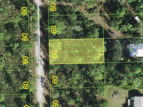 12168 HINDLE AVENUE , PUNTA GORDA, FL 33955