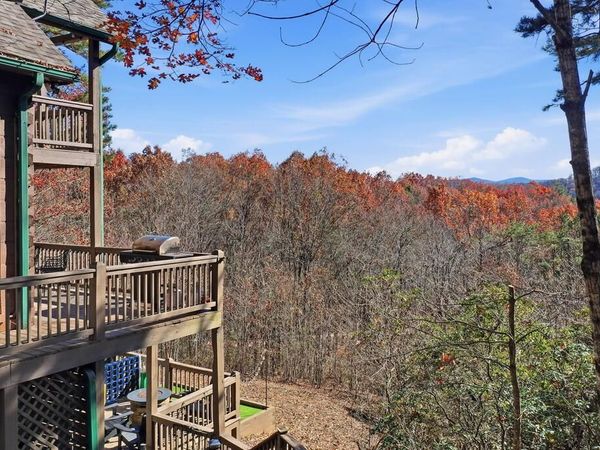 31 The Kings Court, Cherry Log, GA 30522