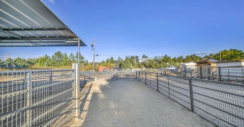 795 Jacks Valley Road, Carson City, NV 89705 Photo