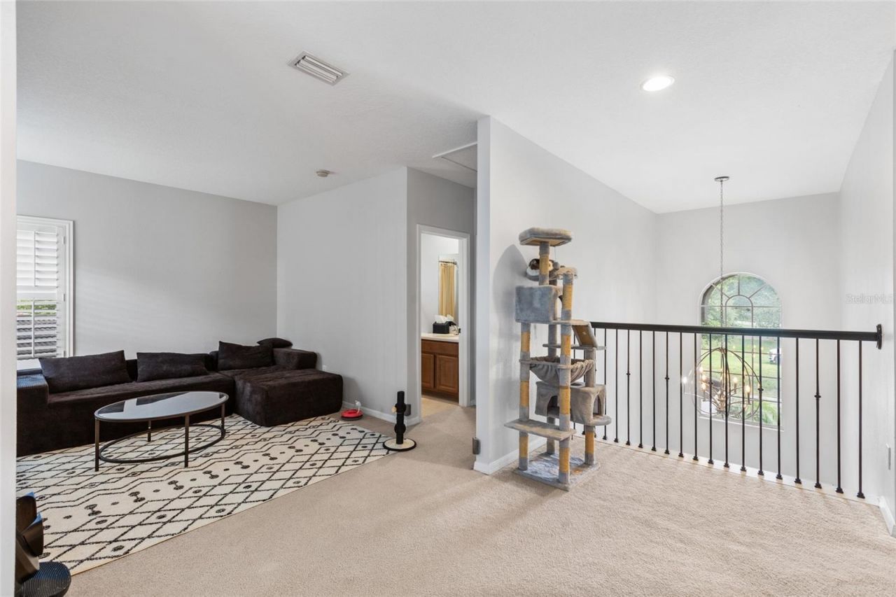 9113 Creedmoor Lane , New Port Richey, FL 34654 Photo