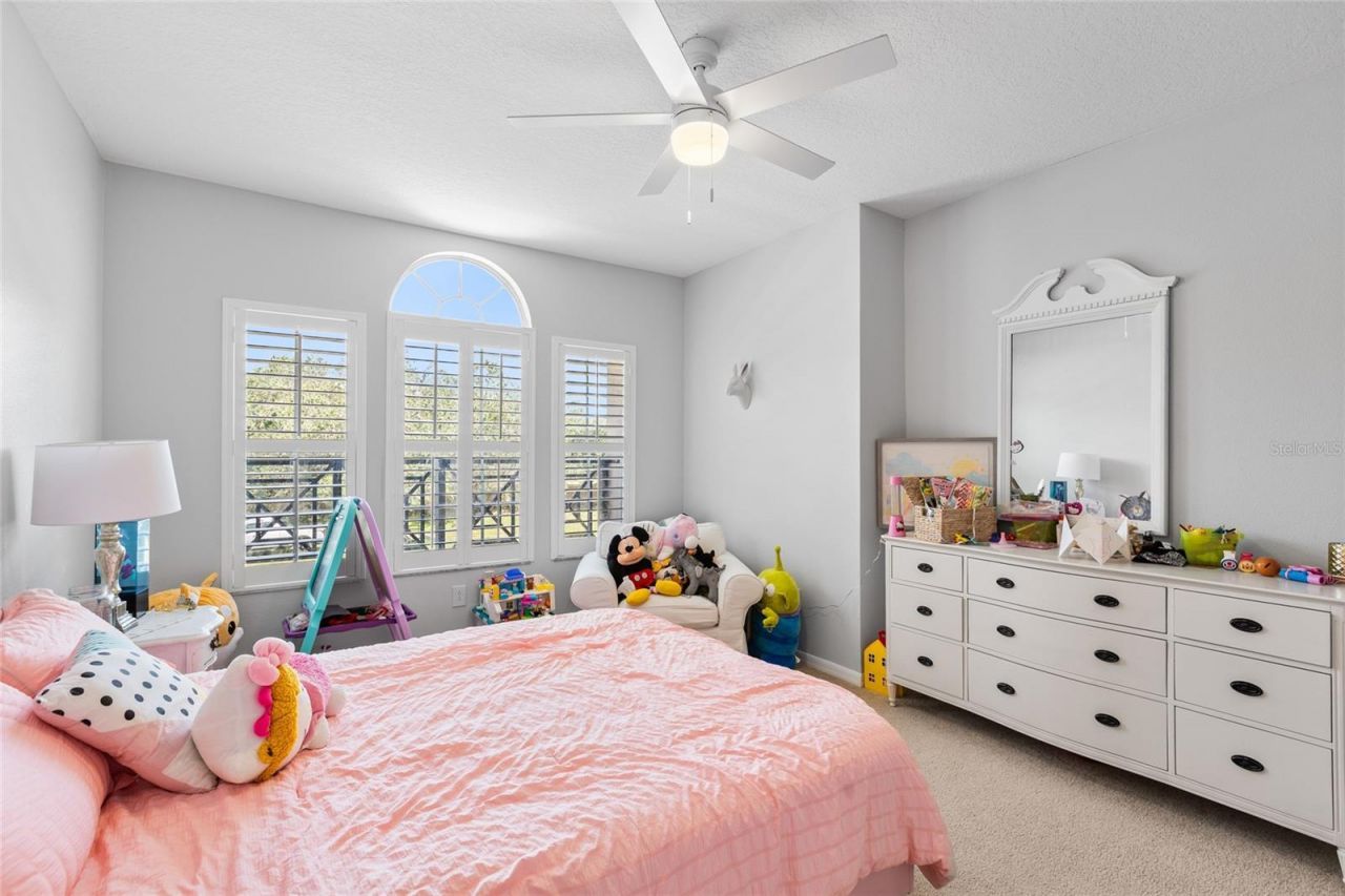 9113 Creedmoor Lane , New Port Richey, FL 34654 Photo