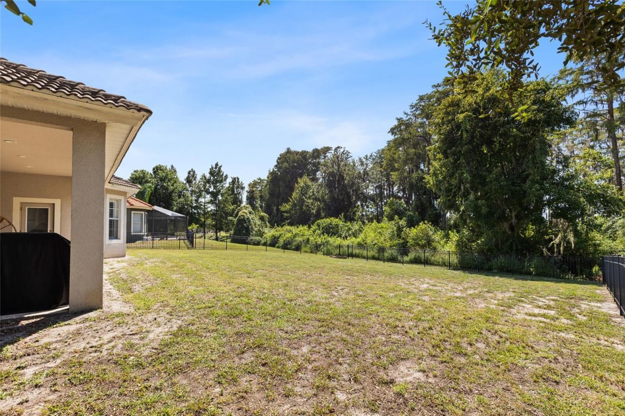 9113 Creedmoor Lane , New Port Richey, FL 34654 Photo
