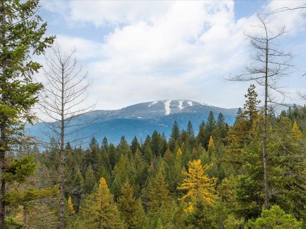 36022 N Milan-Elk Rd, Chattaroy, WA 99003