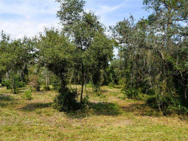 625 LAKE BUTLER AVENUE , OSTEEN, FL 32764