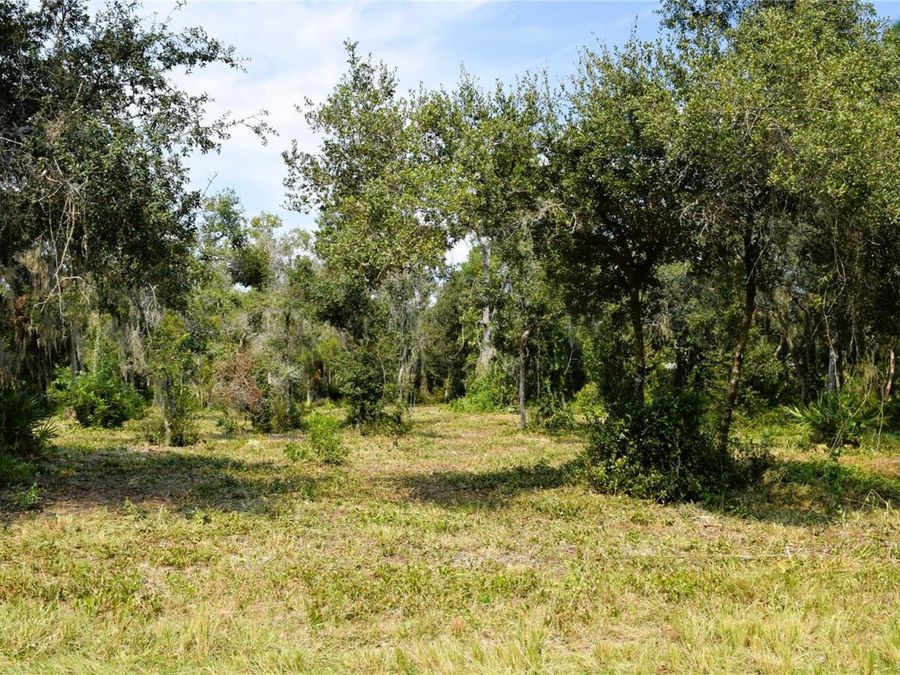 Property Image 13