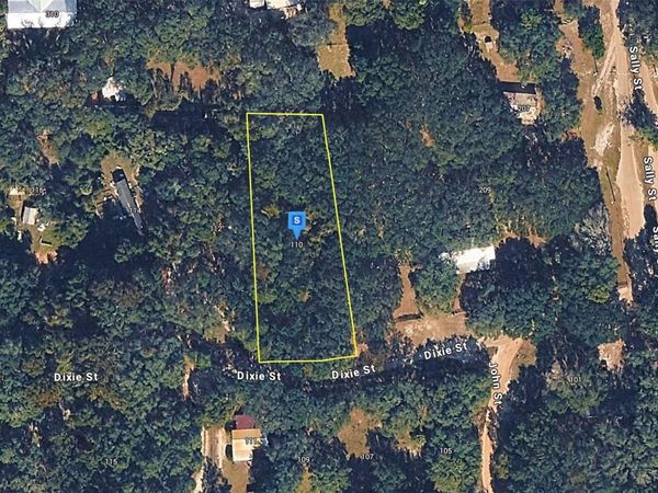 110 DIXIE STREET , HAWTHORNE, FL 32640