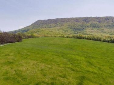 LOT 8 SANDY HOOK FARM ., STRASBURG, VA 22657