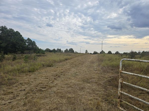 000 Golden Trail Drive , Raymondville, MO 65555