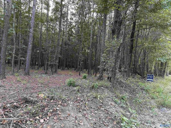 24 County Road 1011, Unit Lot 24, Centre, AL 35960
