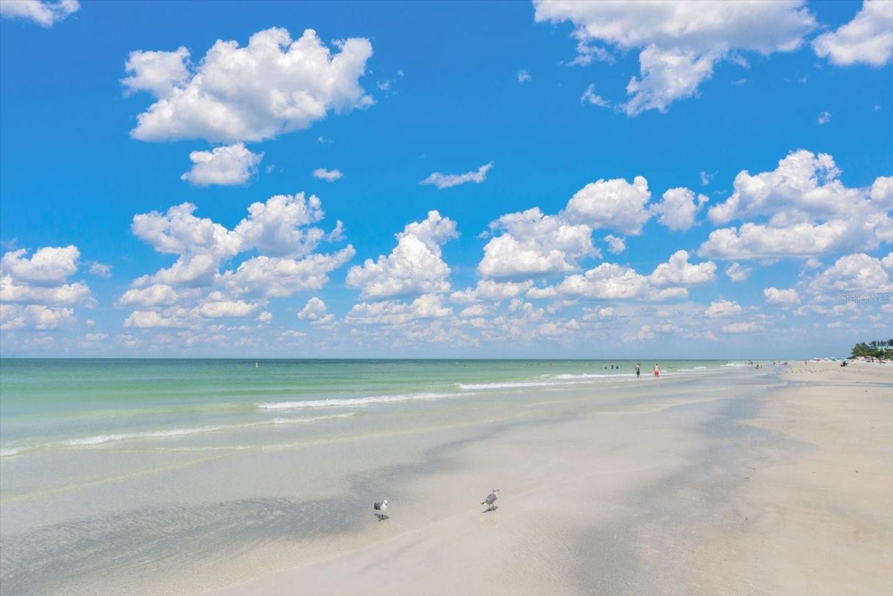 1512 Gulf Boulevard, Indian Rocks Beach, FL 33785 Photo