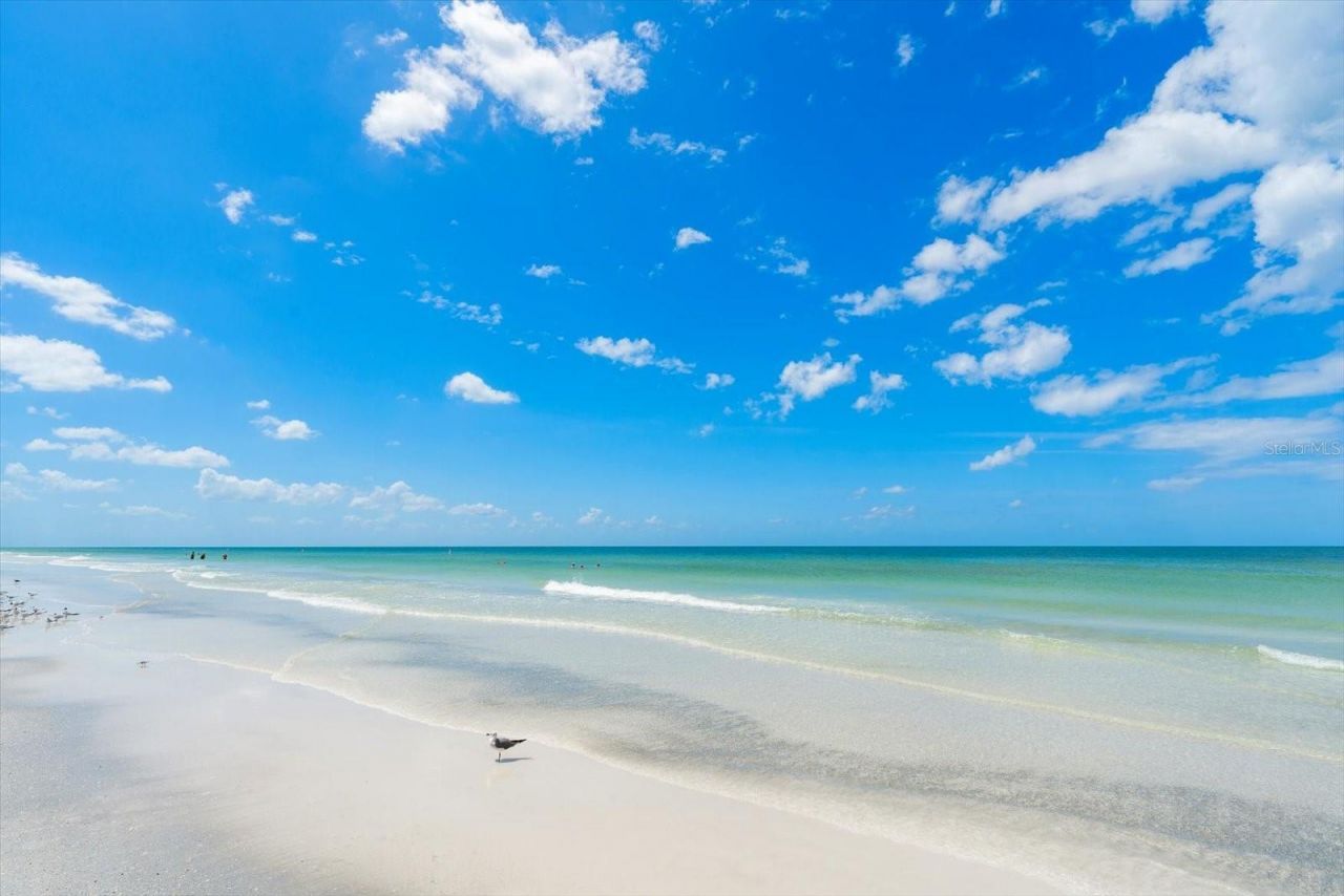 1512 Gulf Boulevard, Indian Rocks Beach, FL 33785 Photo