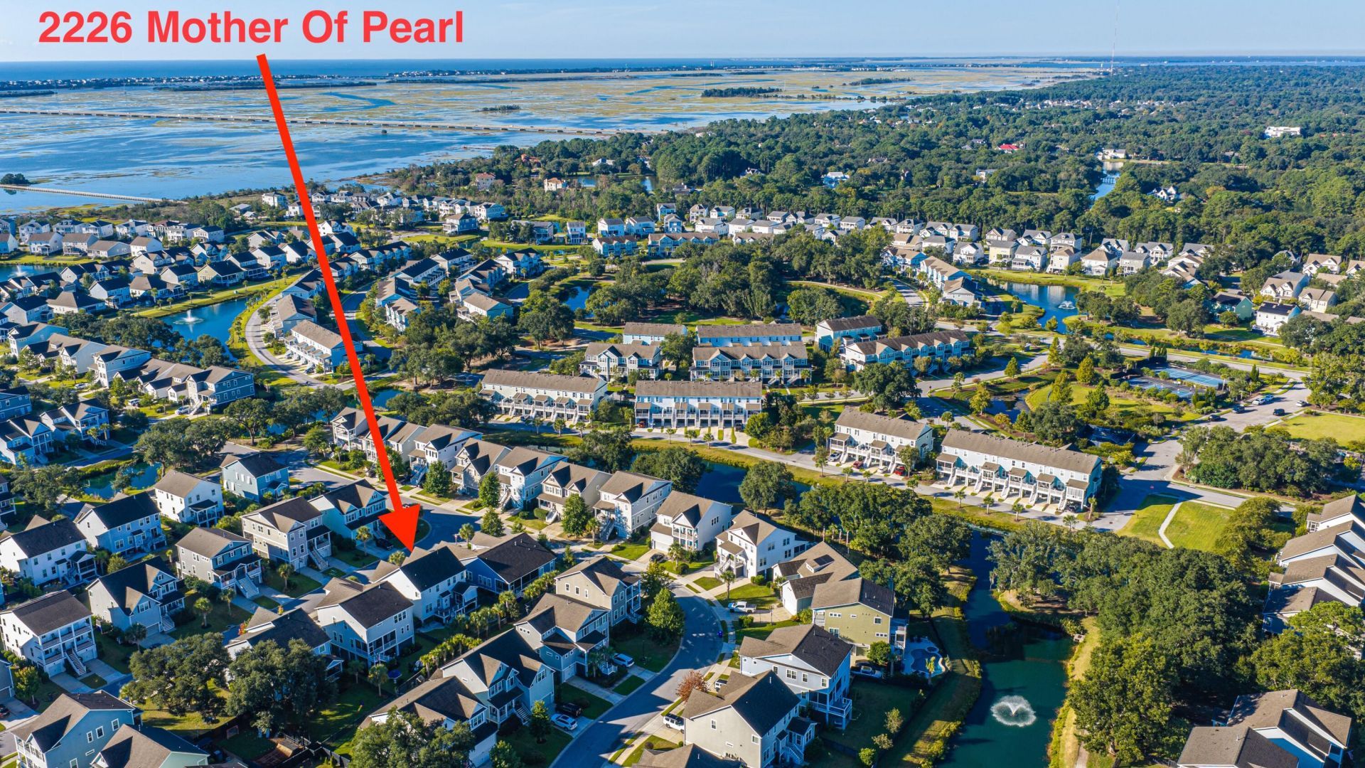 2226 Mother Of Pearl Drive Photo 57