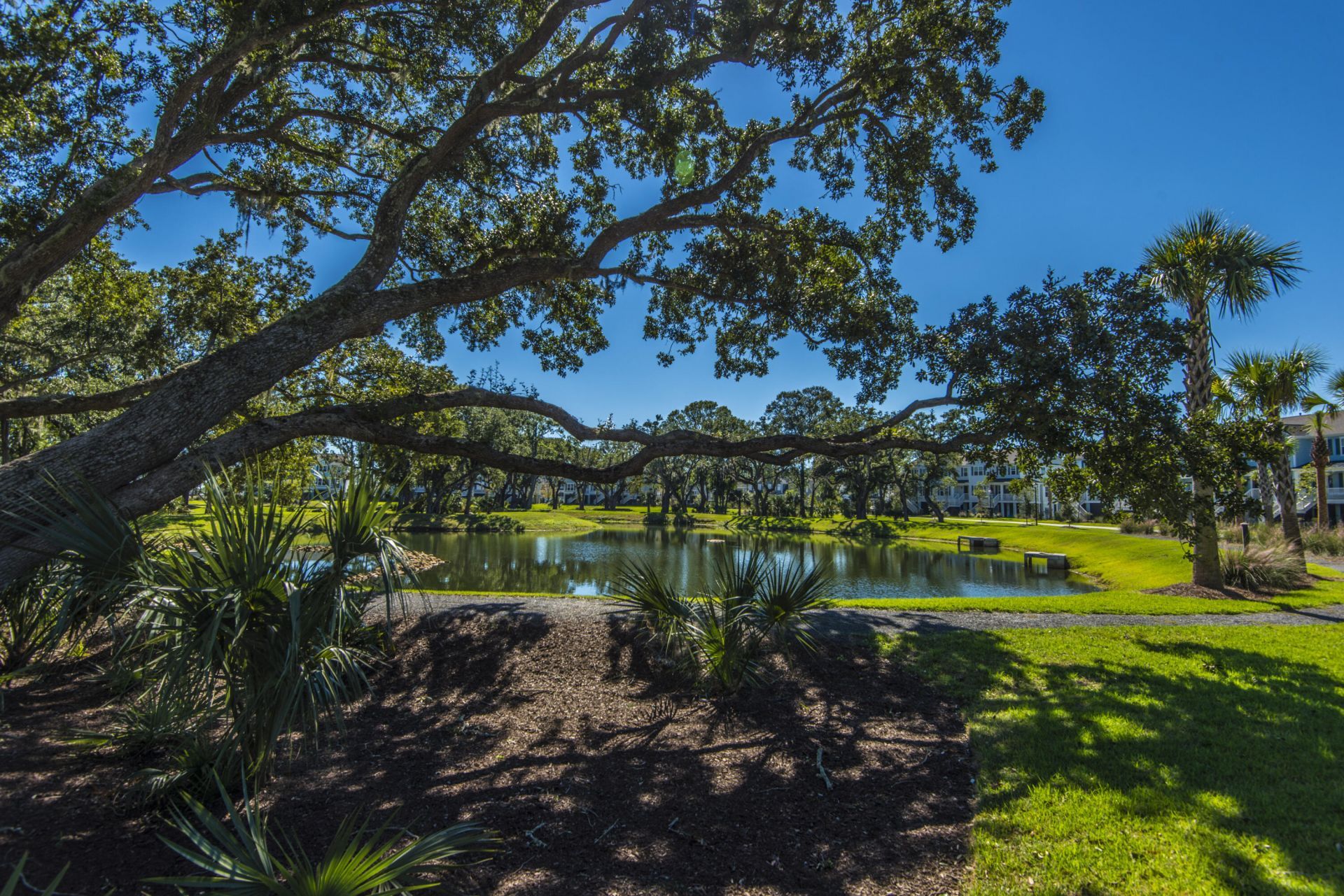 2226 Mother Of Pearl Drive Photo 60