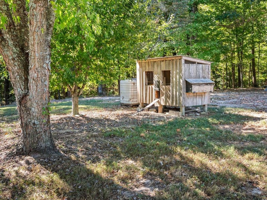 Property Image 41