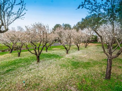 8065 Rock Springs Rd, Penryn, CA 95663 Photo