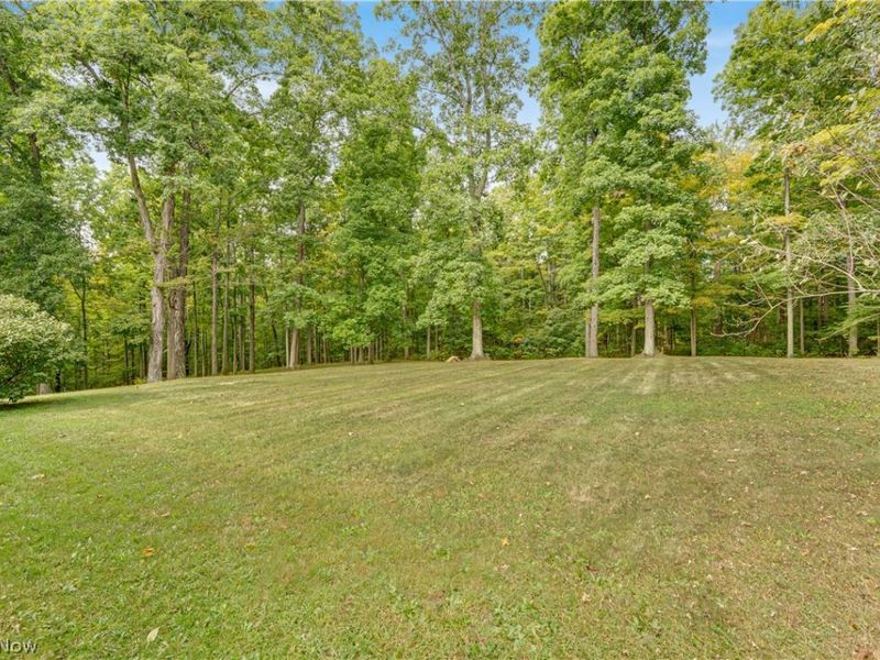 9794 Stukey Lane, Chardon, OH 44024 Photo 3