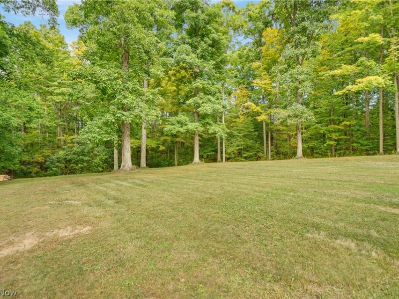 9794 Stukey Lane, Chardon, OH 44024 Photo 6