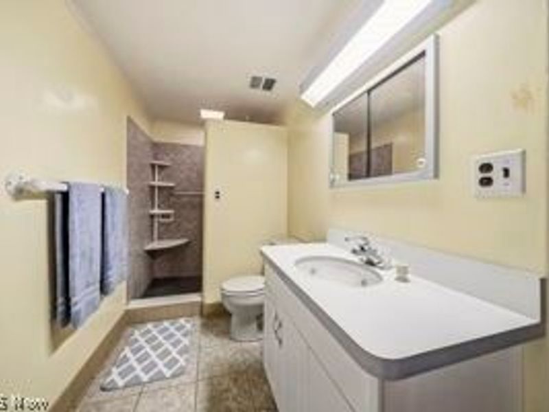 3782 Main Street, Perry, OH 44081 Photo 31