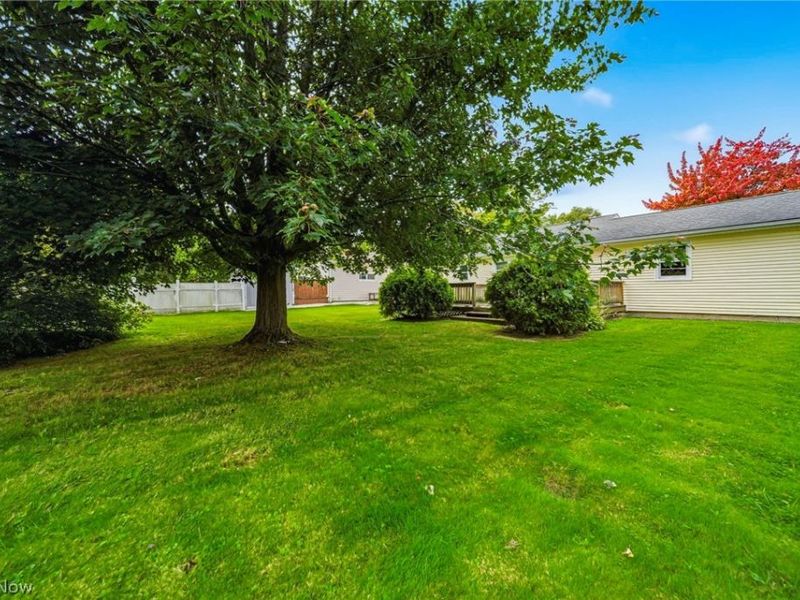 1016 Treelane Drive, Ashtabula, OH 44004 Photo 10