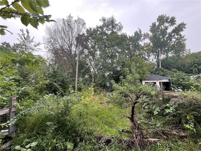 10403 Rosehill Avenue, Cleveland, OH 44104 Photo 10