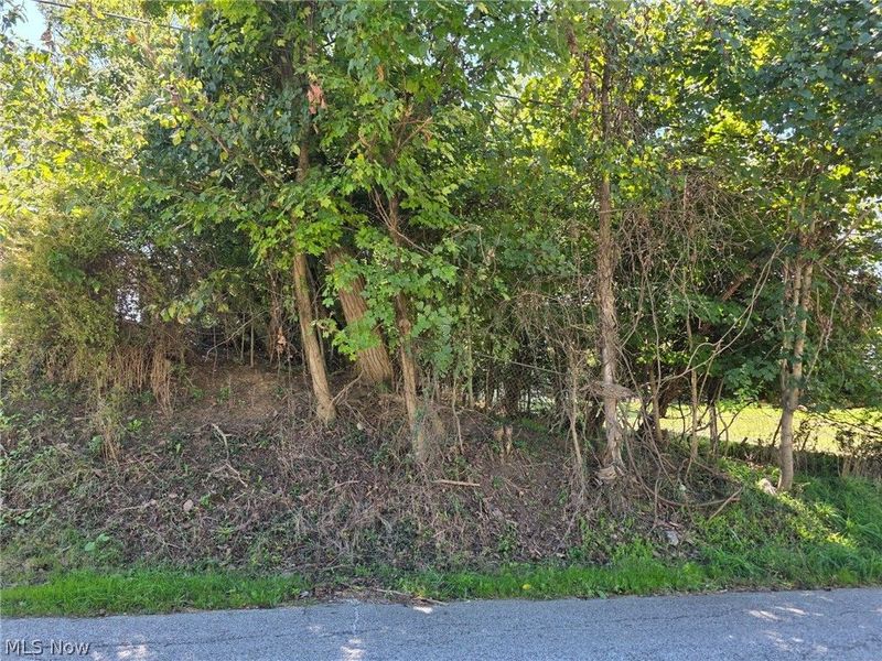 Young Lane, Saint Clairsville, OH 43950 Photo 2