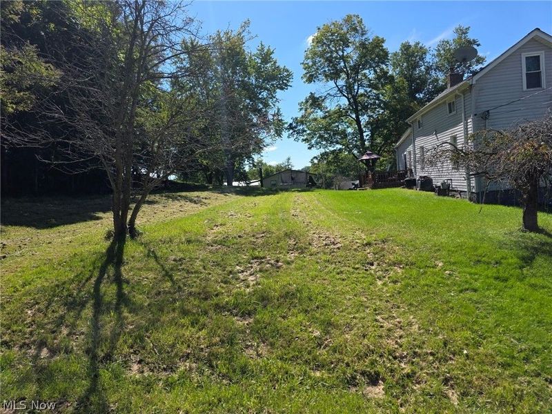 Young Lane, Saint Clairsville, OH 43950 Photo 5