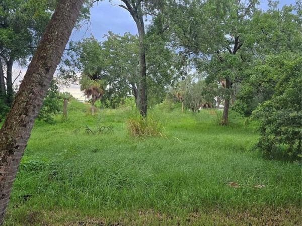7300 S SWOOPE STREET , TAMPA, FL 33616