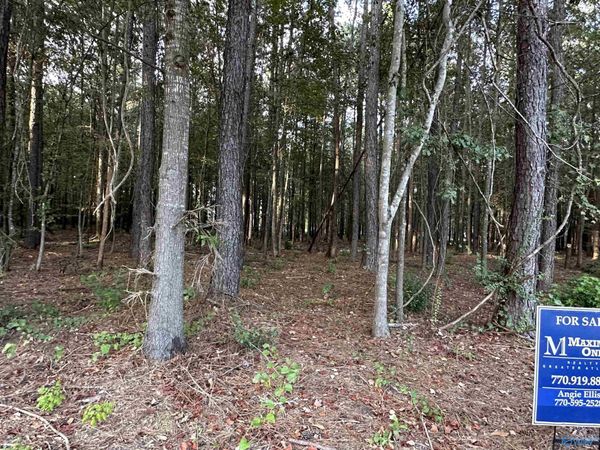 24 County Road 1011, Unit 30, Centre, AL 35960