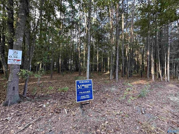 24 County Road 1011, Unit Lot 29, Centre, AL 35960
