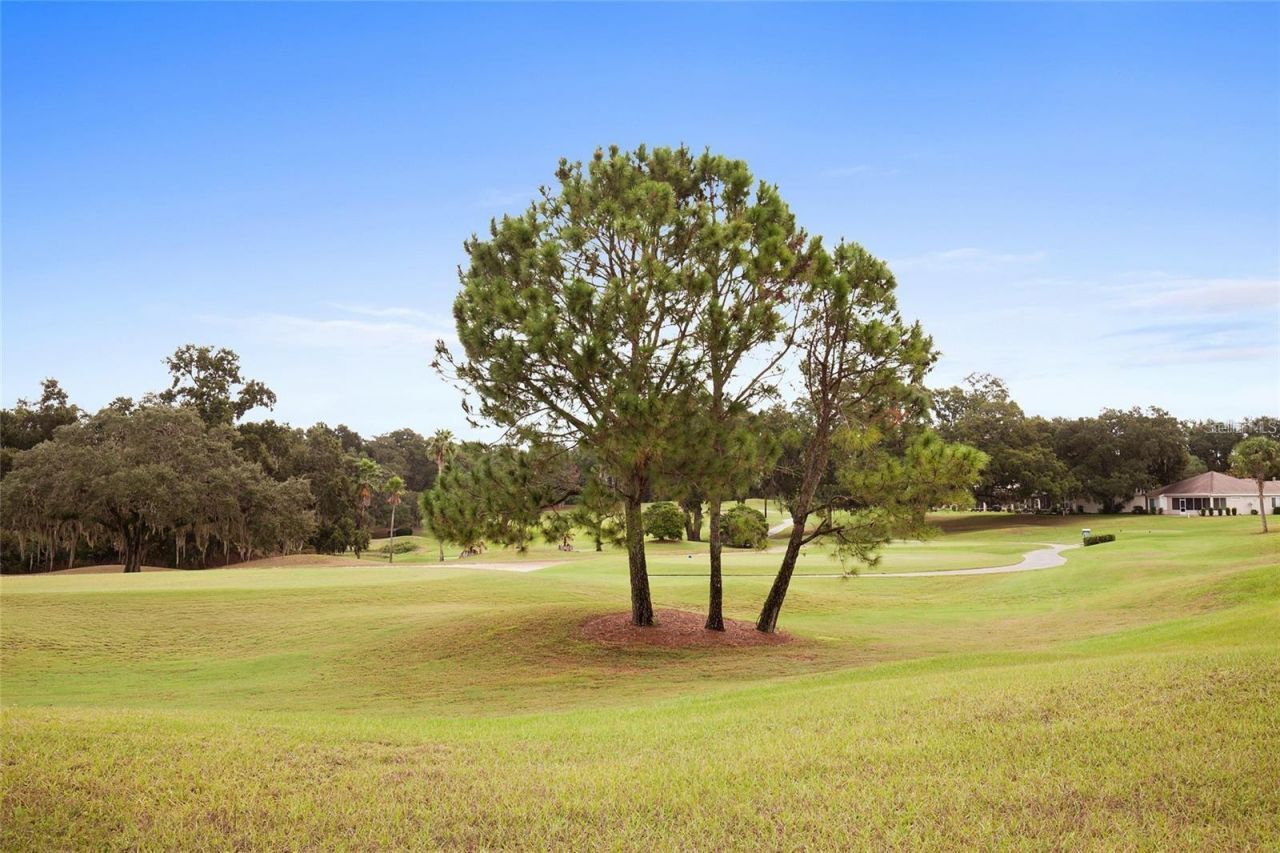 13660 SE 90th Terrace , Summerfield, FL 34491 Photo