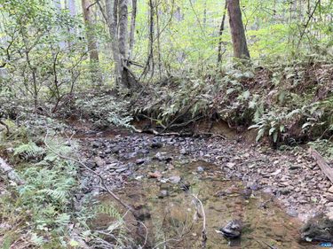 33 PINEY MOUNTAIN LN, Shipman, VA 22971