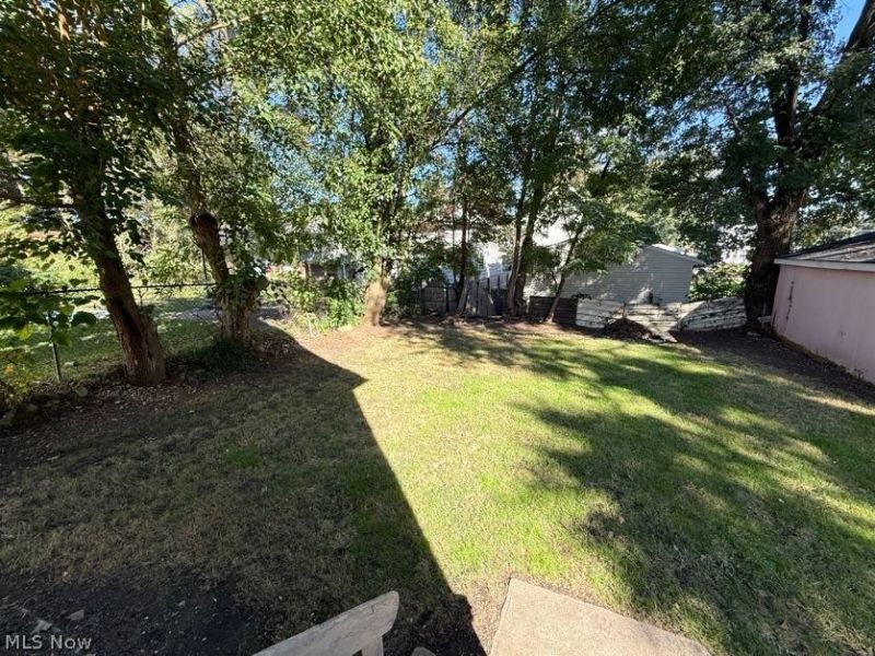 1017 La Croix Avenue, Akron, OH 44307 Photo 24