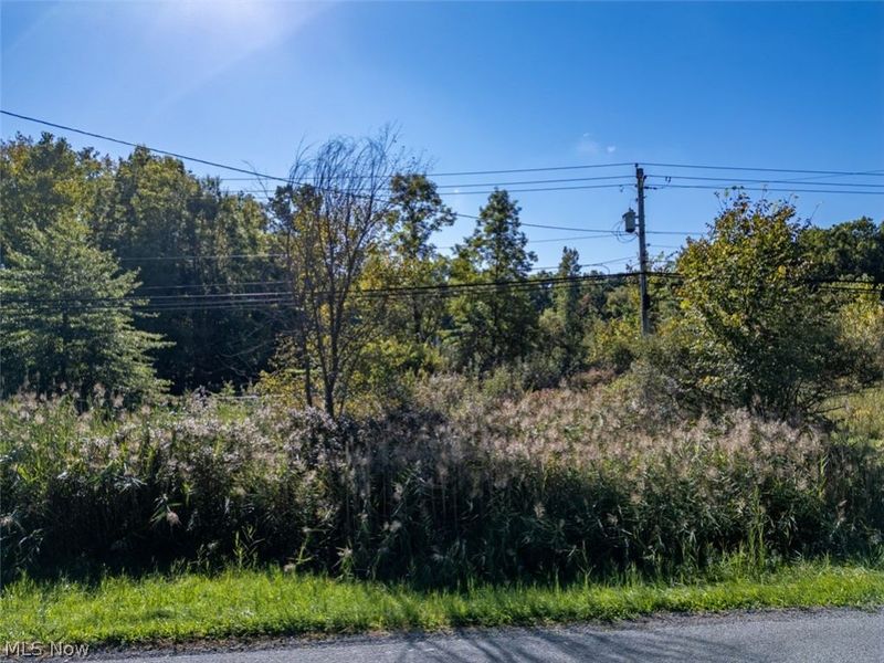 Newton Falls Road, Ravenna, OH 44266 Photo 1