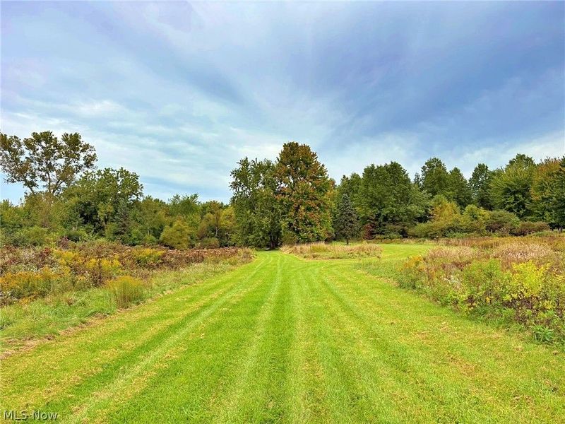 46868 Butternut Ridge Road, Oberlin, OH 44074 Photo 11