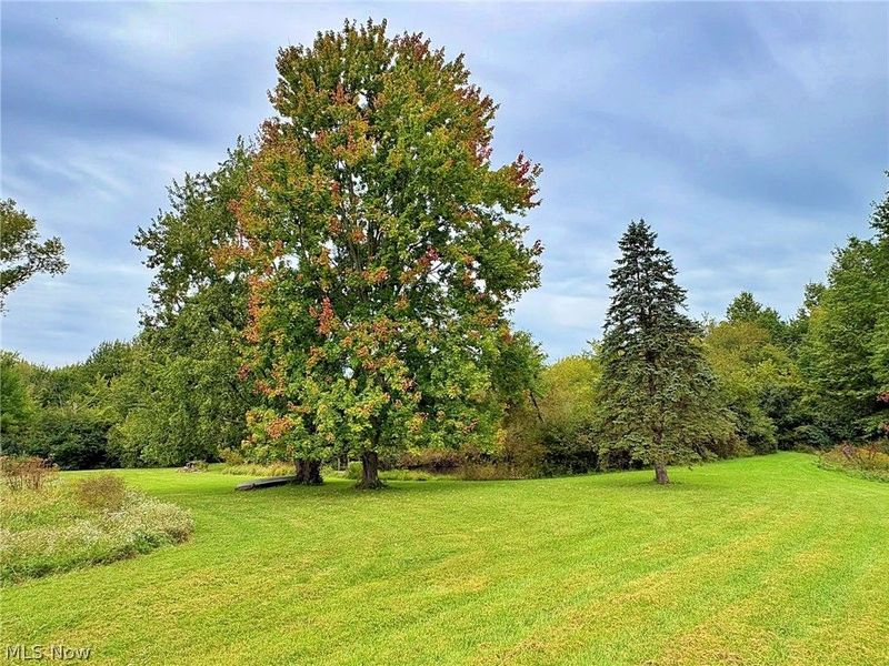 46868 Butternut Ridge Road, Oberlin, OH 44074 Photo 12