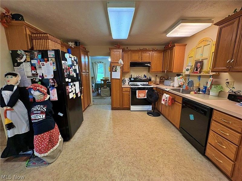 46868 Butternut Ridge Road, Oberlin, OH 44074 Photo 19