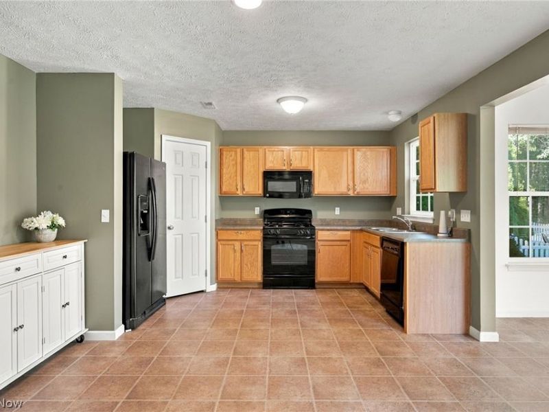 8735 Ashton Pl Drive, North Ridgeville, OH 44039 Photo 14